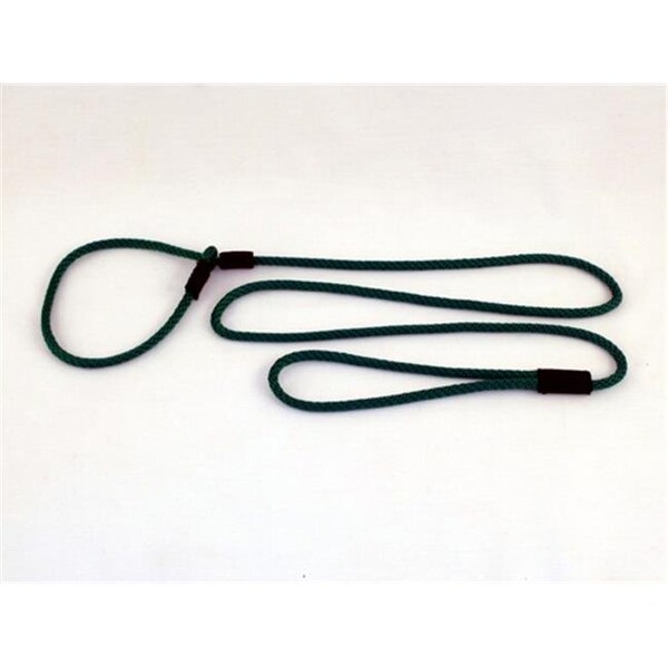 Soft Lines P20406EMERALDGREEN Small Dog Slip Leash 0.25 In. Diameter By 6 Ft. - Emerald Green P20406EMERALDGREEN - main